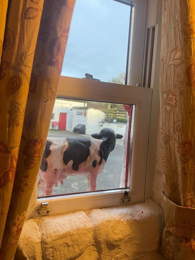 Nellie'S Farmhouse Carlingford Luaran gambar